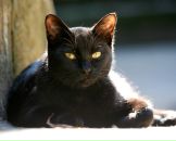 Фотография Заславской Елены