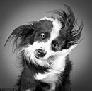 Фотография Квачевской Даши