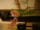 Фотография Бурлановой Соньки