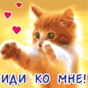 Христина Сірак фотография #31 (источник - https://vk.com/id64491272)